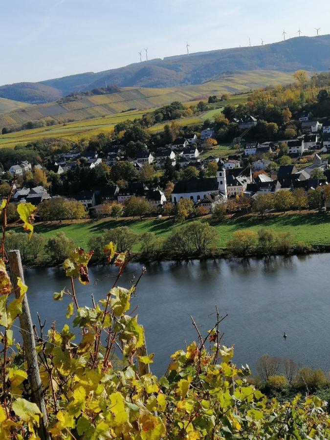 Weingut Licht-Stadtfeld Brauneberg Exterior photo
